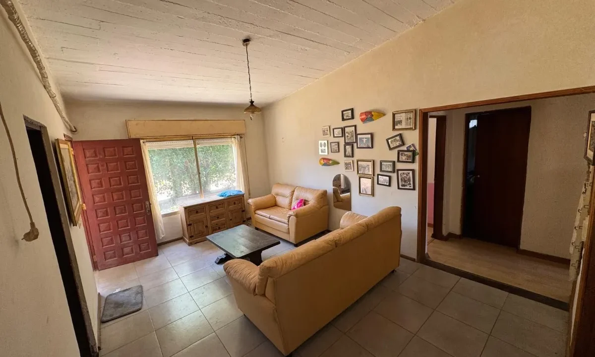 D_836363-MLU103475988096_012026-F